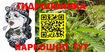 трава Гатчина