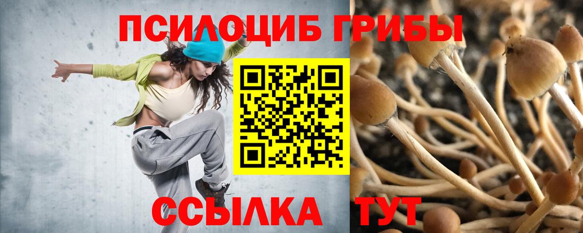 Галлюциногенные грибы мухоморы Азов