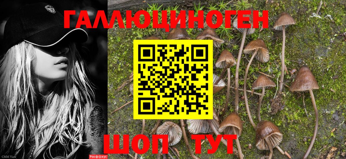 Азов  Псилоцибиновые грибы Magic Shrooms  Галлюциногенные грибы прущие грибы  Вход с VPN 